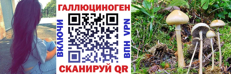 купить наркотики цена  Омутнинск  Галлюциногенные грибы GOLDEN TEACHER 